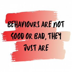Behaviours are not good or bad, they just are